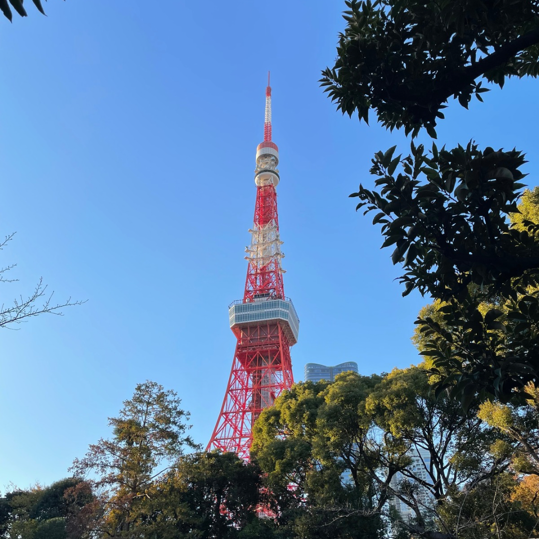 東京足つぼスクール