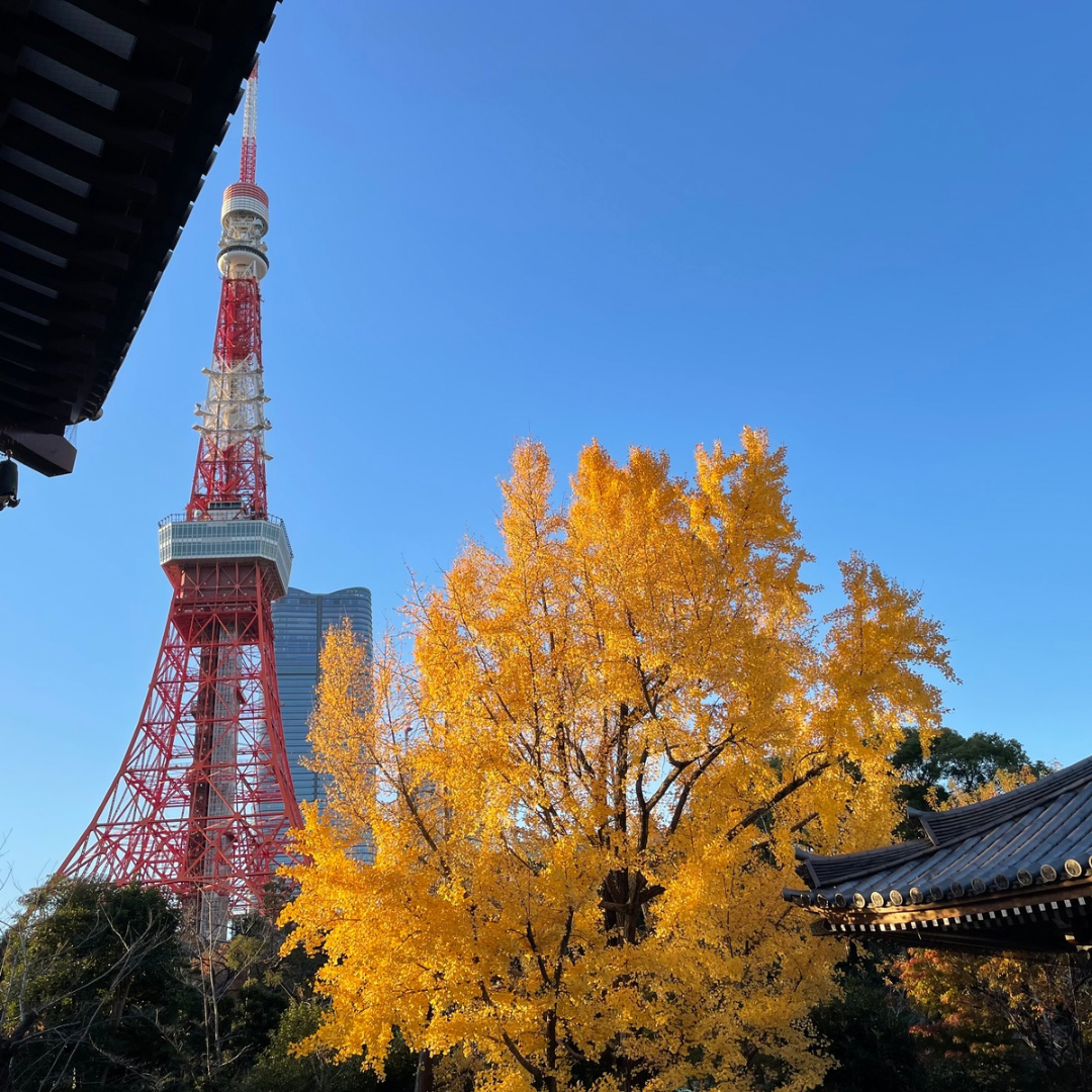 東京足つぼスクールの前の観光